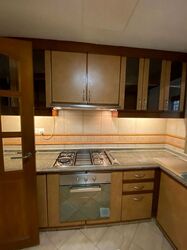 Cavenagh Lodge (D9), Apartment #533892581